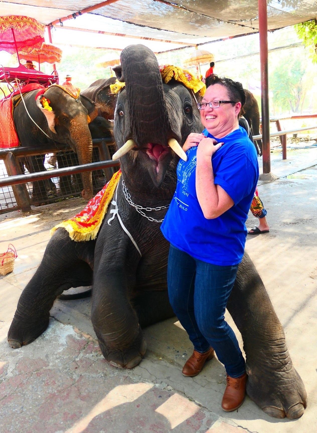 Person smiling and posing with a seated elephant wearing decorative ornaments in a covered outdoor area.